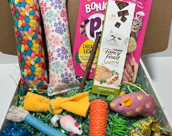 Easter Gift Box for Kitty Cats