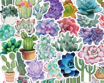 cactus succelent sticker pack semi waterproof sticker stickers laptop stickers aesthetic stickers cute sticker