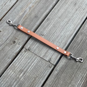 May include: A brown leather dog leash with two silver clips and silver rivets.