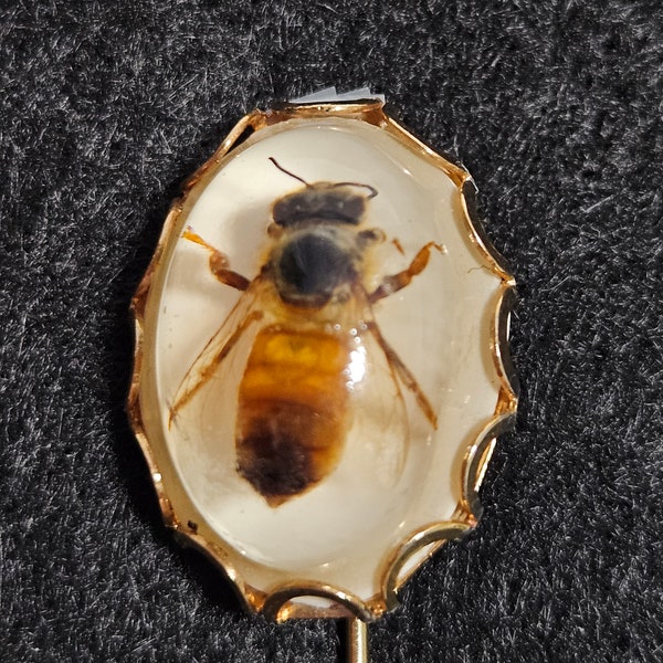Vintage Real Honey Bee Lucite Resin Brooch Pin Stick Pin Insect Bug Specimen