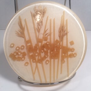 May include: A round, white coaster with a clear resin top. The coaster features dried wheat stalks and pasta shapes embedded in the resin.