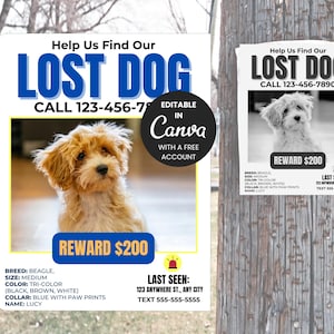 Lost Dog Flyer Template 8.5 x 11&quot; Editable Canva File  Instant Digital Download