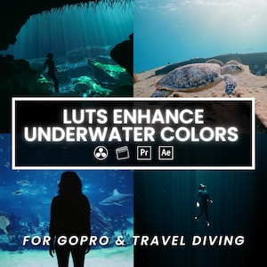 Unterwasser-LUTs für GoPro- und Tauchvideos – 8 Farbvorgaben für Adobe, DaVinci, Final Cut