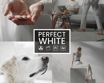 Perfect White LUTs for Weddings & Winter Videos - 8 Bright Color Presets for Premiere, DaVinci