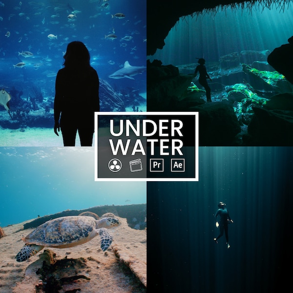 8 Underwater LUTs | Color Grading | Videos and Photos | Mobile Desktop | Adobe After Effects | PremierePro | DaVinci | Final Cut Pro