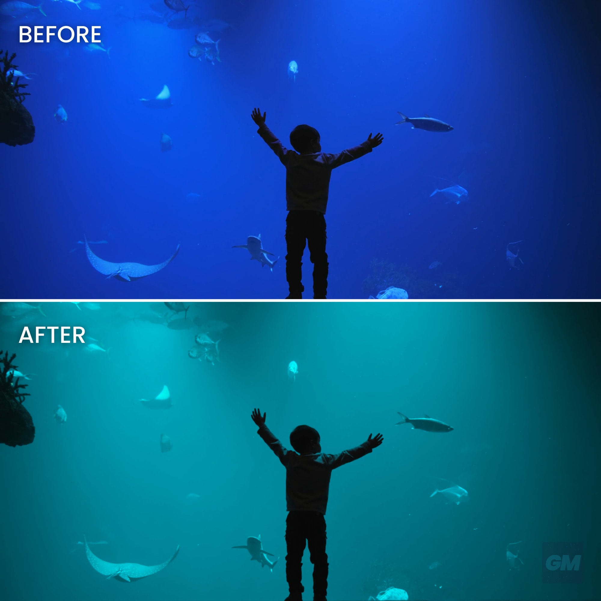 10 Blue Changes, Color Variations Luts | Color Grading | Videos and ...