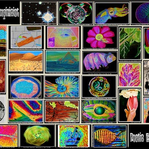 Empirista poético 10 aniversario Ultimate Post Card Collection (29 impresiones)