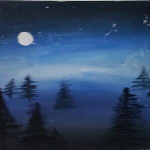 Midnight Forest
