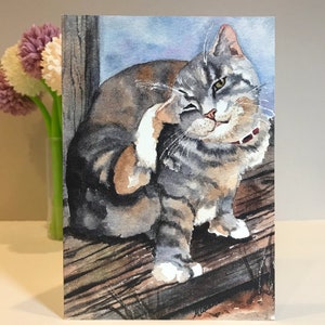 Set of 6 | Various Cat Greeting Card Pack | Bundle of 6 Cards | Kitty