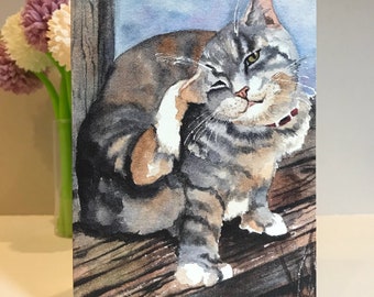 Set of 8 | Various Cat Greeting Card Pack | Bundle of 8 Cards | Kitty