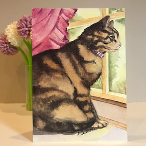 Set of 6 | Various Cat Greeting Card Pack | Bundle of 6 Cards | Kitty