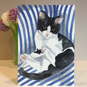 Set of 6 | Various Cat Greeting Card Pack | Bundle of 6 Cards | Kitty