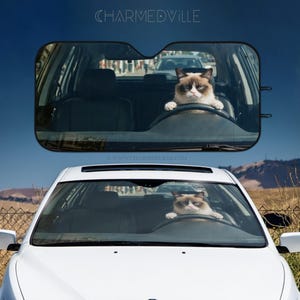 May include: A white car with a grumpy cat driving. The cat is behind the steering wheel. The image has the text "CHARMEDVILLE" at the top and "www.CHARMEDVILLE.com" at the bottom.
