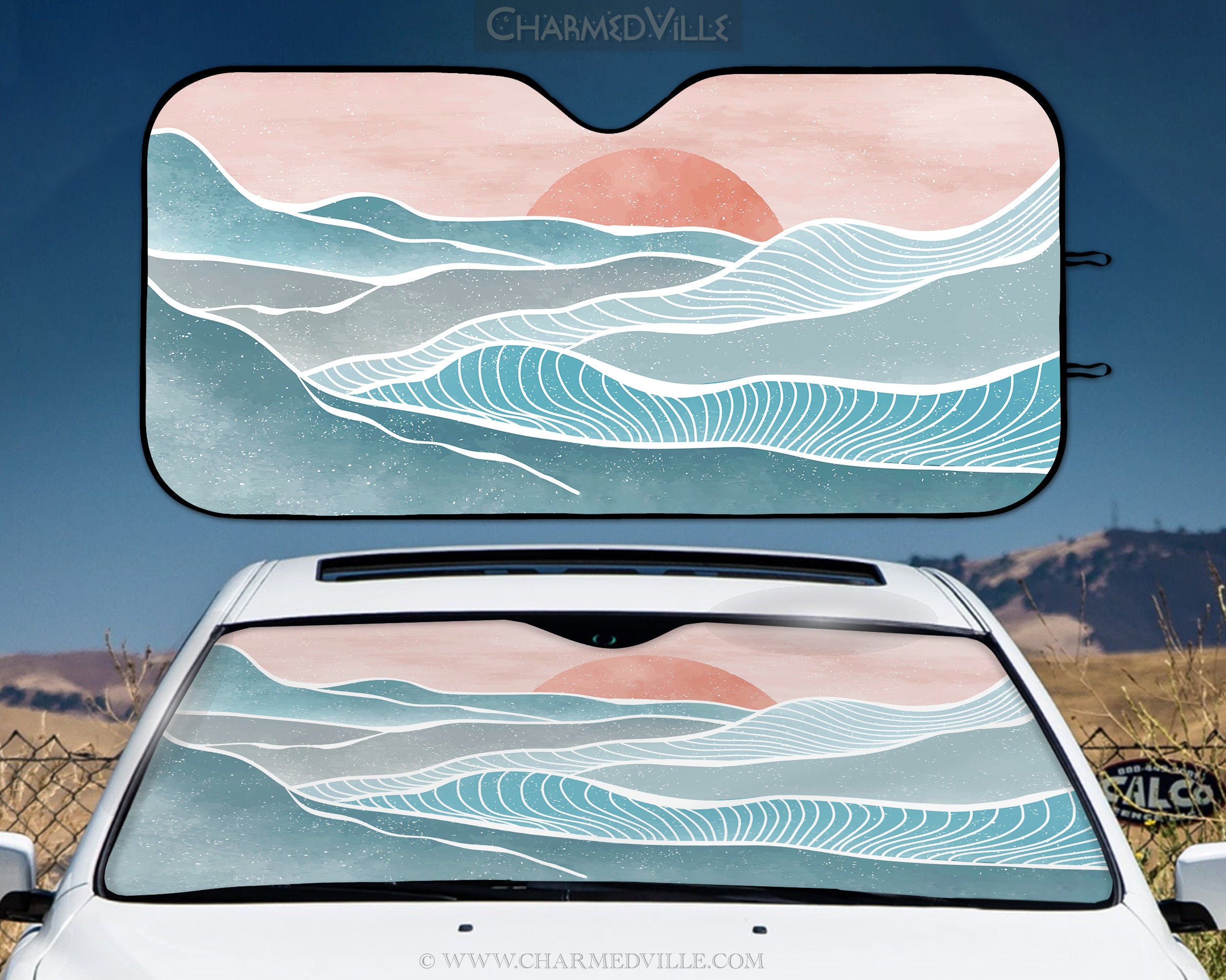 Funny car sun shade - .de