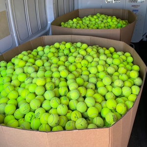 May include: A large cardboard box filled with bright yellow tennis balls. The box is overflowing with balls, and some are spilling out onto the ground.