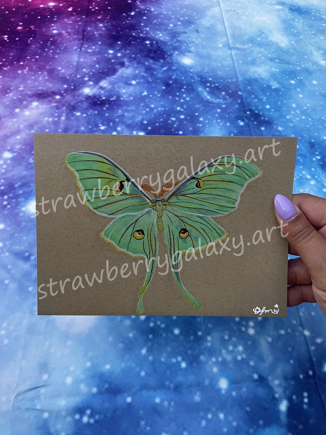 Luna Moth, Colored Pencil Print, Art Print, Gift, Art, Wall Art, Wall ...
