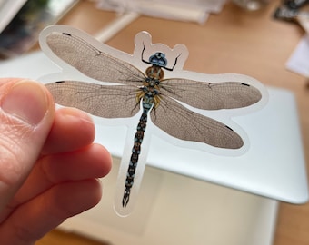 Dragonfly Vinyl Sticker, Clear Decal, Laptop Sticker, bug lover gift