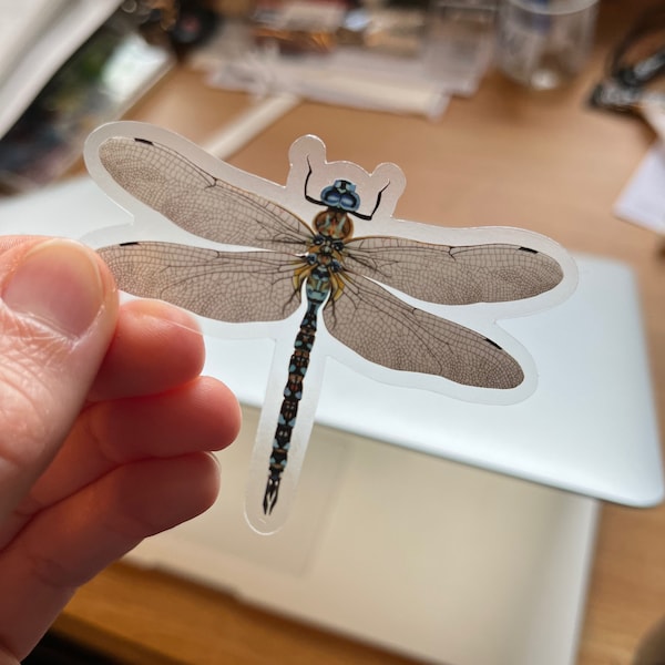 Dragonfly Vinyl Sticker, Clear Decal, Laptop Sticker, bug lover gift