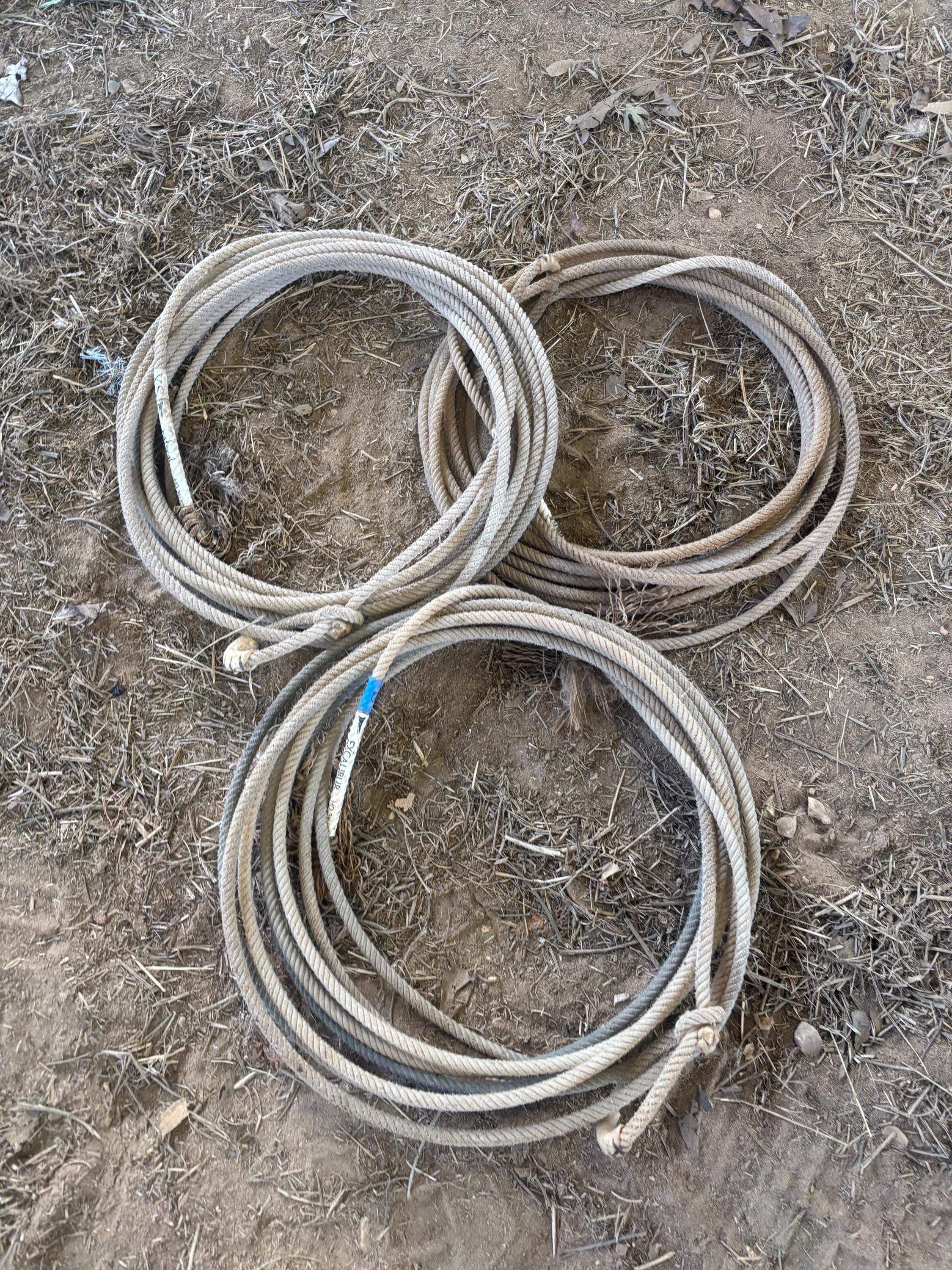 Used Ragger Rope Used Lariat Ropes (team Roping Head Ropes) - Etsy
