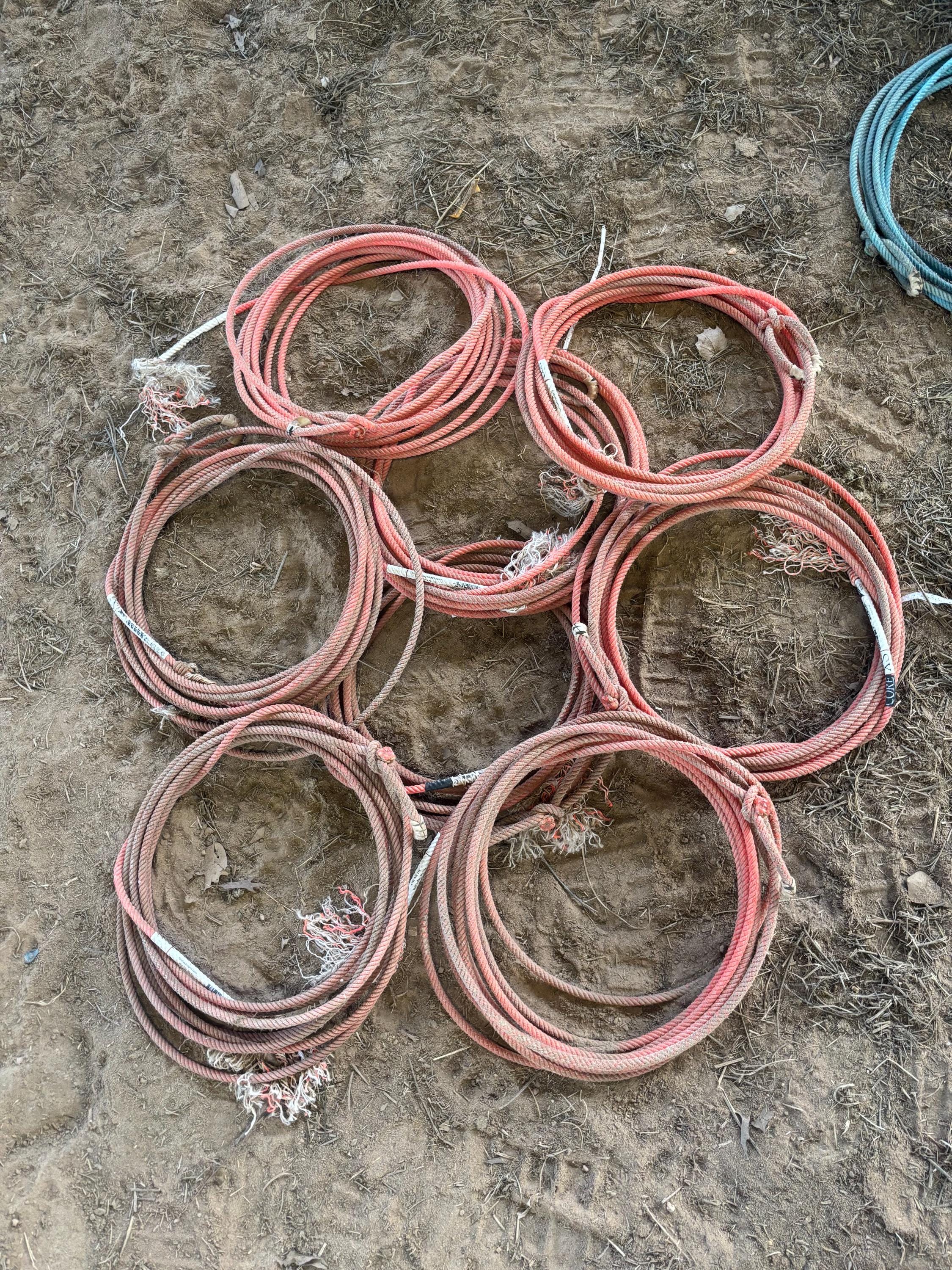Used Lariat Ropes Used Lariat Ropes (team Roping Head Ropes) - Etsy