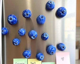 Ceramic Blueberry fridge magnet - Pack of 5 ( approx - 1.5 cm), Fruit fridge magnet, Ceramic fridge magnet, Pinterest magnets