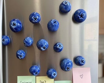 Ceramic Blueberry fridge magnet - Pack of 5 ( approx 1. 2 - 1.5 cm), Fruit fridge magnet, Ceramic fridge magnet, housewarming gift