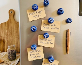 Handmade Ceramic Blueberry Fridge Magnets – Glossy Fruit Kitchen Decor