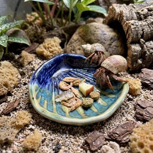 Ciotola per cibo per rettili in ceramica fatta a mano a forma di conchiglia, decorazione rustica in ceramica, decorazione per terrario (8-9 cm)