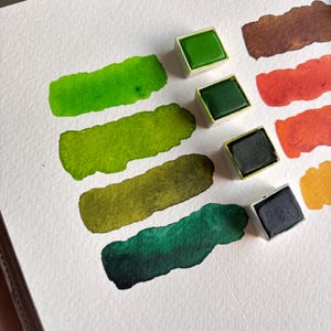 May include: Watercolor paint swatches in shades of green, brown, and orange on white paper. Several square paint pans are visible, filled with solid watercolor paint. The swatches show the color variations, from light to dark, with a textured appearance.