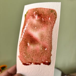 May include: A watercolor swatch on textured paper. The abstract design features shades of red, pink, and brown, with a hint of green at the top. The colors blend together, creating a textured effect.