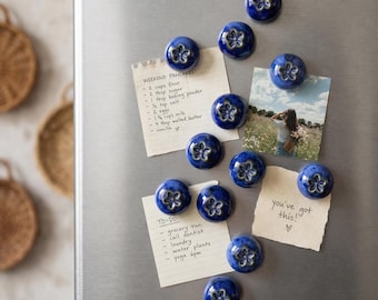 Imán de nevera con diseño de arándanos - Imanes de cerámica para nevera - Paquete de 5 (aprox. 1,2 - 1,5 cm)