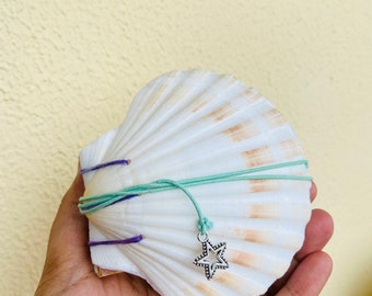 Seashell watercolor  Notebook, Scallop notebook, clam sketchbook,  Seashell Diary- Scallop Journal - Scallop watercolor diary