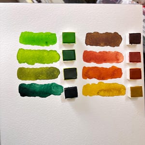 May include: Watercolor paint swatches in various shades of green, brown, orange, and yellow. Each color is displayed as a rectangular block and a painted stroke on white paper. The paint is in small, square pans.