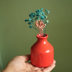 Può includere: Un piccolo vaso in ceramica rosso vivo con corpo arrotondato contiene un mazzo di fiori secchi con fiori blu e rosa.