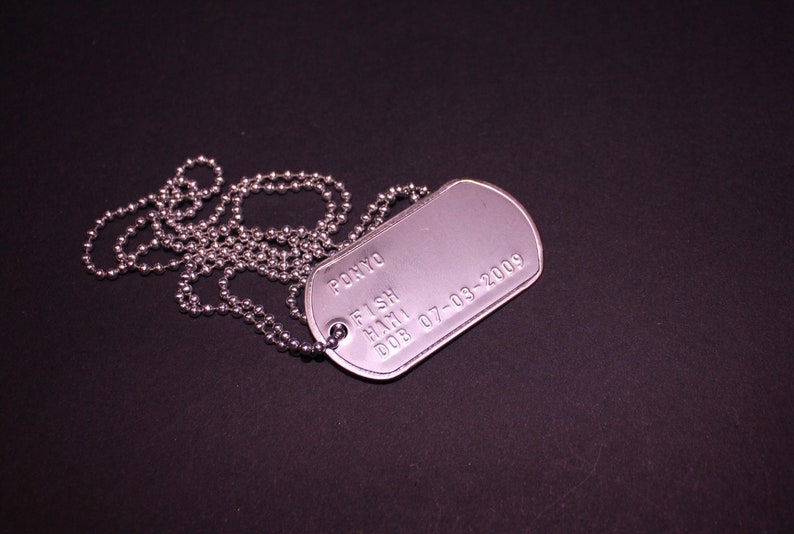 May include: A silver dog tag with a chain. The tag is engraved with the text "PONYO FISH HAM1 DOB 07-03-2009".