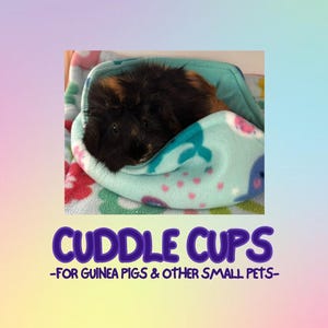 Câlin/lit avec coussin amovible pour cochons d'Inde et autres petits animaux de compagnie - PRÊT À L'EXPÉDITION