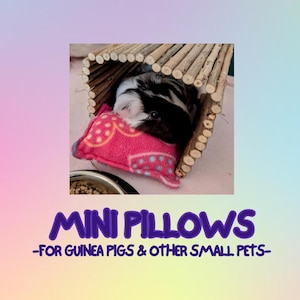 Mini oreillers pour cochons d'Inde et autres petits animaux de compagnie / Accessoires pour cochons d'Inde / Oreiller pour cochon d'Inde - PRÊT À L'EXPÉDITION