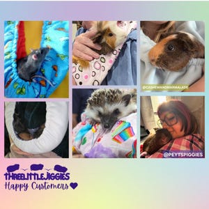 May include: A collection of images showcasing small pets, such as a rat, guinea pigs, and a hedgehog, comfortably positioned in vibrant fabric pouches and blankets. The text "THREELITTLEJIGGIES Happy Customers" is displayed.