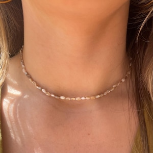 Sea shell necklace | Ovale sea shells | Summer necklace | Dainty necklace