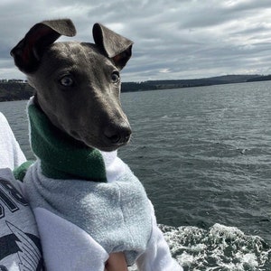 Custom Dog Jumper | Polar Fleece Dog Jumper