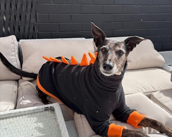 Custom Dinosaur Dog Jumper | Polar Fleece