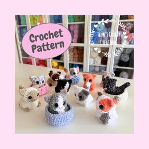 Può includere: Una collezione di figurine di gatti all'uncinetto fatte a mano in vari colori, tra cui bianco, grigio, arancione e nero. Alcuni gatti sono in piccoli cestini all'uncinetto. Il testo "Crochet Pattern" e "Jenn's Crafty Creations" è incluso.