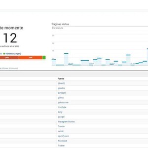 May include: A screenshot of a Google Analytics dashboard showing website traffic data. The dashboard displays the number of users currently on the site, a graph of page views per minute, and a table listing the top traffic sources. The table shows that the top traffic source is "Organic", followed by "Social" and "Referral".
