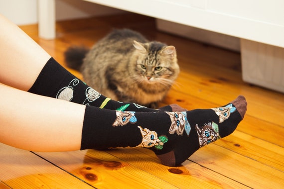 Lot Chaussettes Unisexe Lot De 5 Paires Chaussettes Chat | Coton Doux | Taille 35-41 | Multicolore Et Amusant Chaussettes Chat Femme