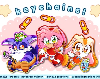 Sonic the Hedgehog Amy Rose 2.5' Holographic Acrylic Keychain - Etsy Canada