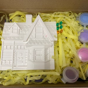A6 Disney UP House paint your own plaster box