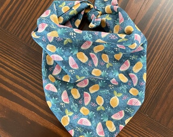 Fruit Dog Bandana | Tie On Bandana