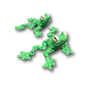 Frog Articulated Flexi Fidget Desk Toy