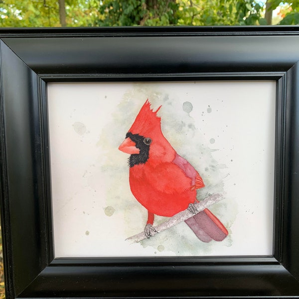 Watercolor Male Cardinal  (Giclee Print)