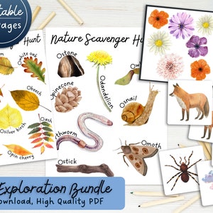 Puede incluir: Una búsqueda del tesoro de la naturaleza imprimible con 35 páginas. Las páginas presentan ilustraciones de varios elementos de la naturaleza, incluyendo hojas, flores, un caracol, un gusano, un palo, una polilla, una araña y un zorro. El texto "Nature Scavenger Hunt" está escrito en la parte superior de la página.